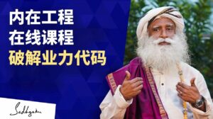 用内在工程在线课程破解业力代码