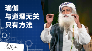 瑜伽 —— 没有哲学，只有方法