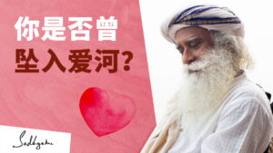 你是否曾坠入爱里？