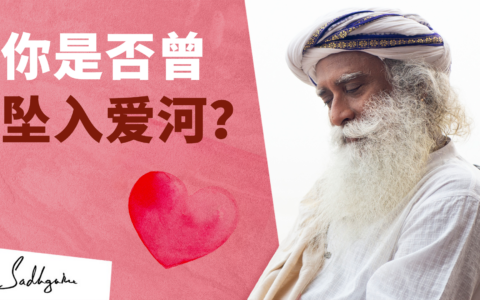 你是否曾坠入爱里？