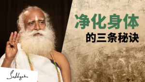 净化身体的三条秘诀