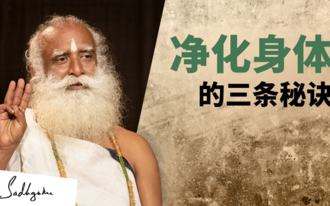 净化身体的三条秘诀