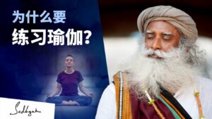 为什么要练习瑜伽?