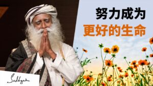 努力成为更好的生命