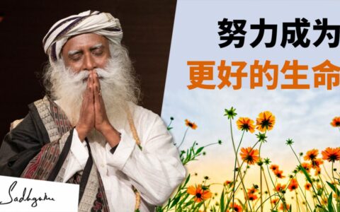 努力成为更好的生命