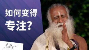 如何提升你的专注力