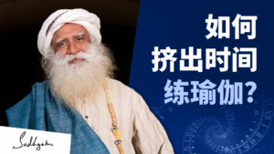 瑜伽的时间在哪里