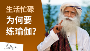 繁忙的生活为什么需要瑜伽