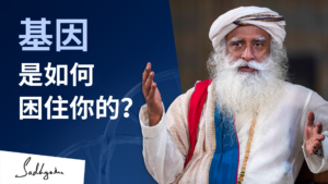 萨古鲁在哈佛大学：基因是如何困住你的？