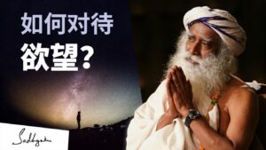 如何处理欲望