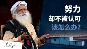 当一个人觉得他的努力不被认可时该怎么办？