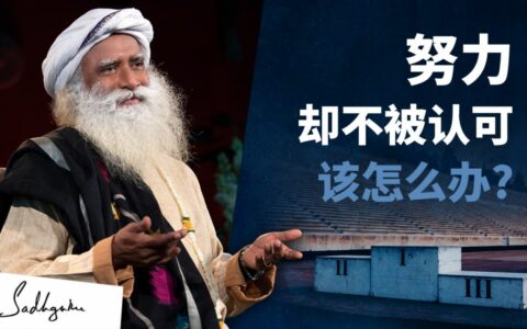 当一个人觉得他的努力不被认可时该怎么办？