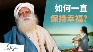 你是否在追求幸福