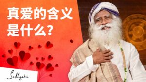 真爱的含义是什么？