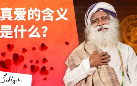 真爱的含义是什么？