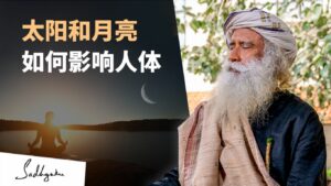 日月周期如何影响人体系统