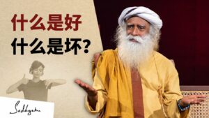 什么是好，什么是坏？