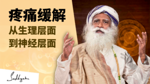 疼痛缓解——从生理学到神经学