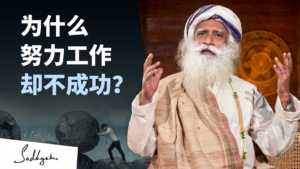 为何努力工作不会让我成功？