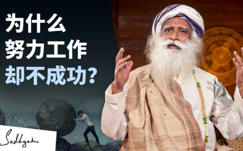 为何努力工作不会让我成功？