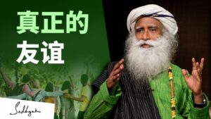 什么才是真正的友谊
