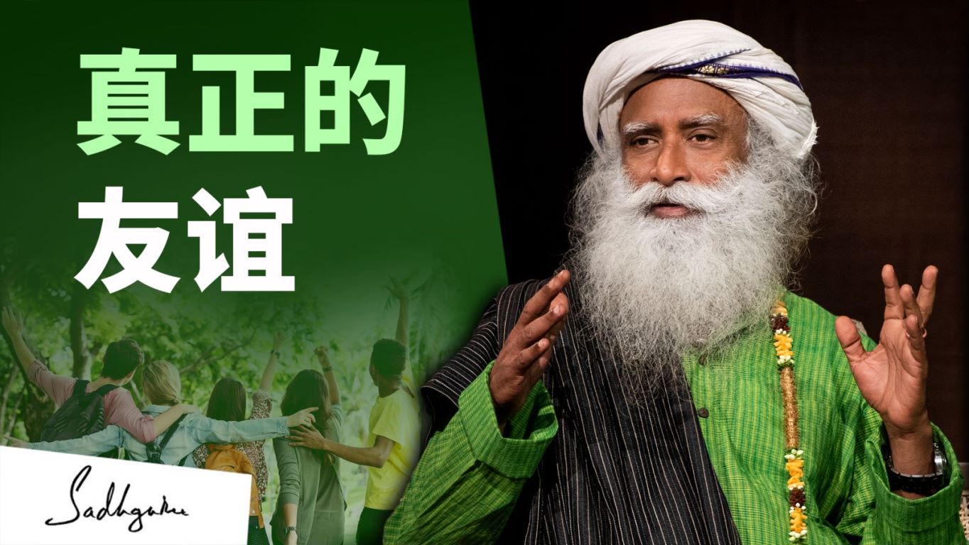什么才是真正的友谊 | isha瑜伽 萨古鲁
