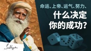 命运、上帝、运气和努力,是什么决定你的成功?