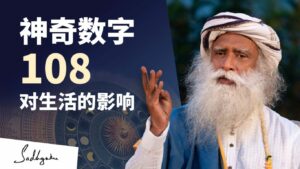 我们生活中令人着迷的108重复