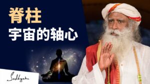 脊柱——宇宙之轴
