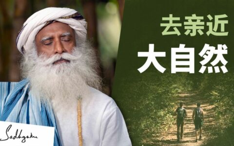 跳过度假村，花些时间去森林里