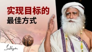 你想要理解还是体验？