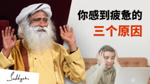提高能量水平的食物和呼吸小贴士