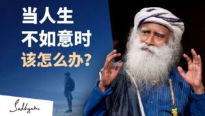 当事情不如意时，如何保持动力？
