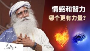 情感比智力更强大吗