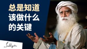 如何总是知道该做什么