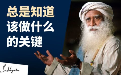 如何总是知道该做什么