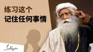 增强大脑记忆力