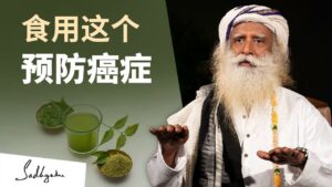 食用印楝如何可以预防癌症