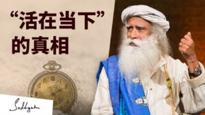 关于“活在当下“的真相