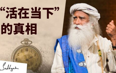 关于“活在当下“的真相