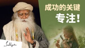 成功的关键在于专注