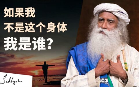 我是这个身体吗？神经科学家大卫·伊格曼与萨古鲁的辩论