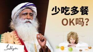少吃多餐OK吗？