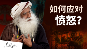 如何应对愤怒？