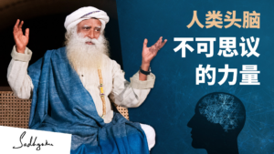 Avadhanis——触及头脑不可思议的能力