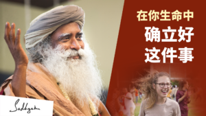 如何在世界上创造最大的影响力？