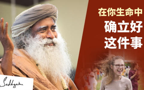 如何在世界上创造最大的影响力？