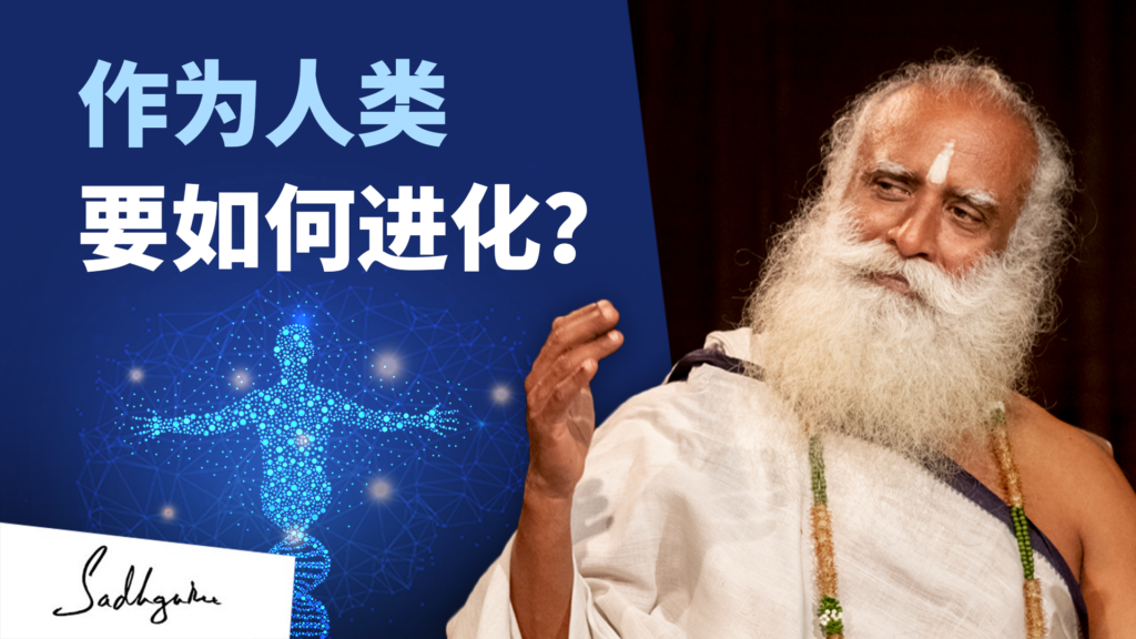 我要如何进化？<strong></strong>