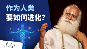 我要如何进化？<strong></strong>