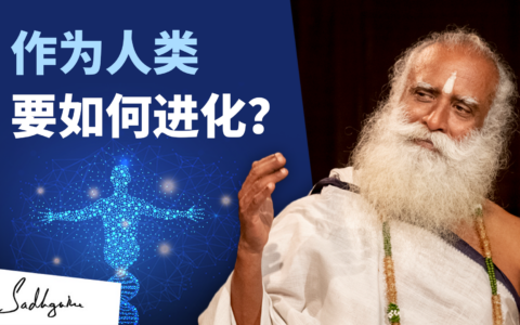 我要如何进化？<strong></strong>